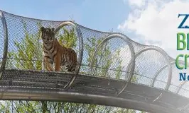 zoo