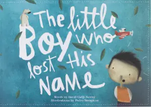 Little Boy Book