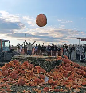 Pumpkin Drop1(1)